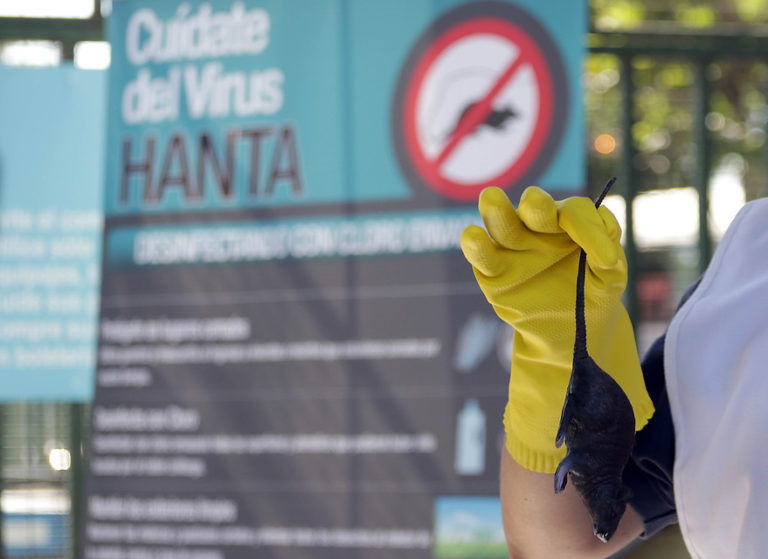 Confirman tercera víctima fatal por Hanta en la Región de Los Ríos