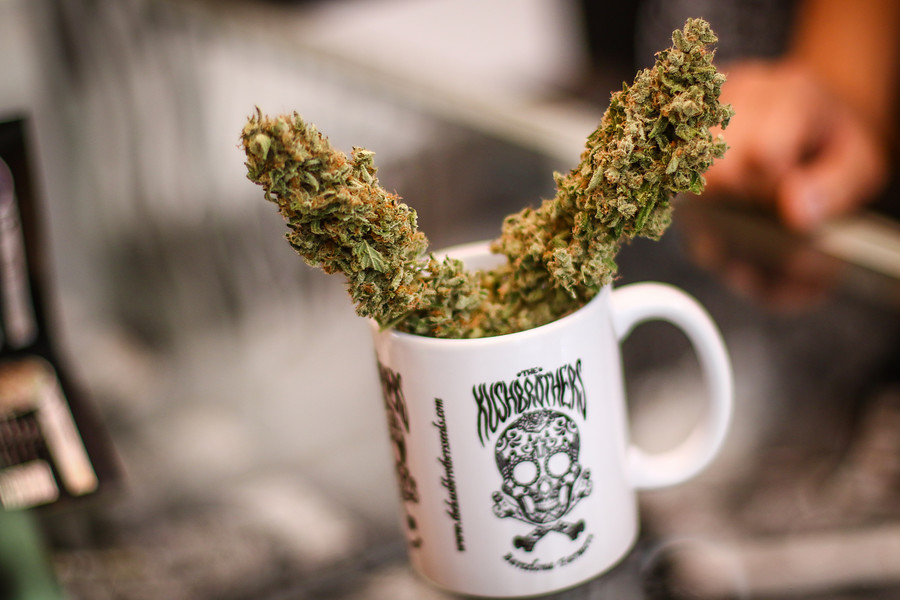 Cannabis
