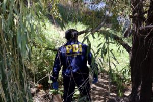 Temuco: encuentran cadáver de mujer maniatada, amordazada y con heridas de golpes