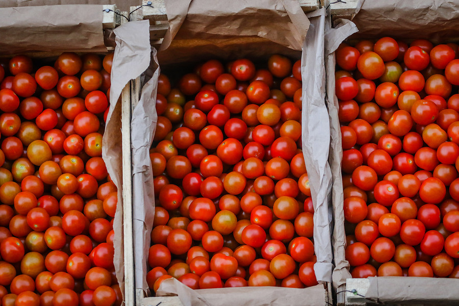 verduras