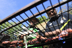 Fiestas Patrias o Patriarcales