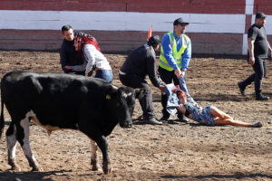 Ataques incendiarios a medialuna en La Ligua: “Mira como arde en fuego tu tradición”