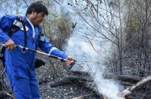 Más de 2 millones de animales han muerto por incendios forestales en Bolivia