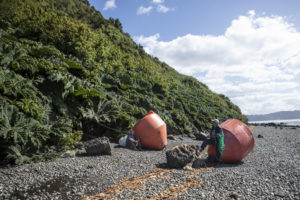 Tiendas bajarán sus cortinas por la lucha contra cambio climático