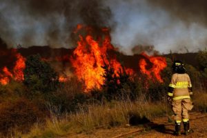 Alcalde Sharp interpone querella criminal por incendio en sector Curauma