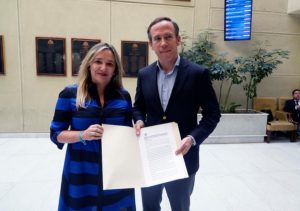 Diputados UDI presentan proyecto para endurecer penas por saqueos