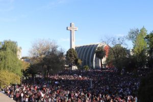 Jefe de defensa de Chillán: 