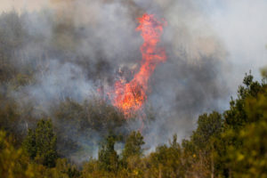 Declaran Alerta Roja por incendio forestal en la comuna de Valparaíso