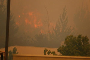 Incendio en Valparaíso: encuentran bidón con acelerante en lugar donde comenzó el siniestro