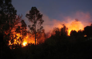 Ministro Walker confirmó que fiscal exclusivo investiga incendios forestales