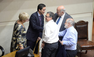 Senado despacha Ley de Presupuesto 2020