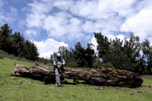 ¿Qué pasa lejos de la ciudad con aquellos que no se escuchan y que tienen tanto que aportar?