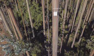 Sea the Forest: la nueva solución IoT para la detección temprana de incendios