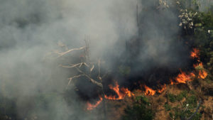 En un año, la Amazonía sufrió la mayor deforestación de la década