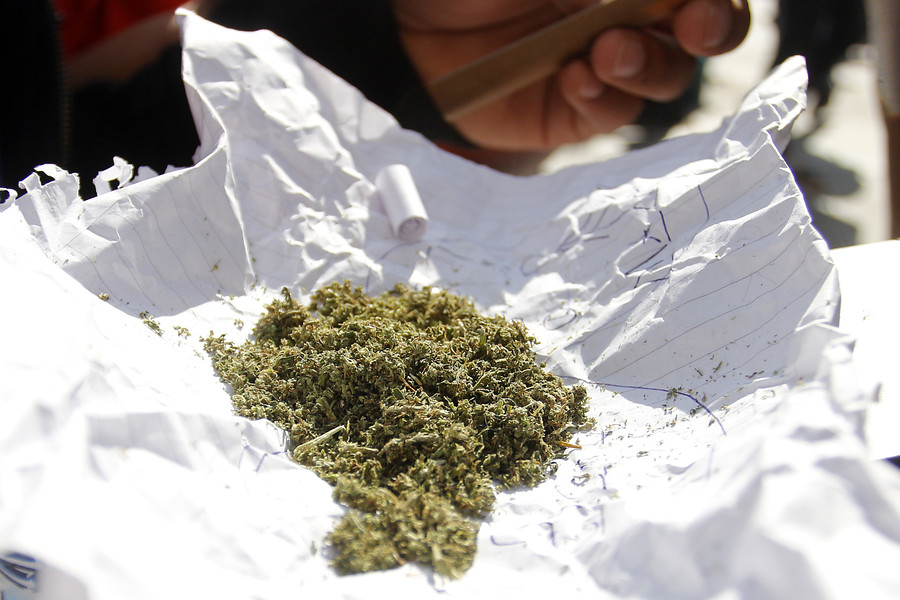 Senda marihuana