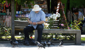 Multas por dar comida a palomas: la medida que genera debate entre vecinos