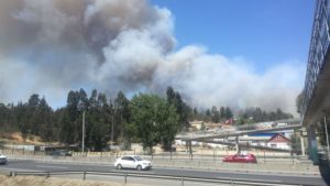 Decretan Alerta Roja en Valparaíso por incendio forestal en Placilla