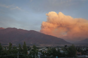 ONEMI: Seis incendios forestales se mantienen activos a nivel nacional