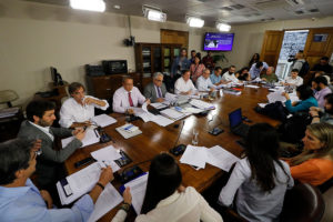 Proceso constituyente: aprueban paridad de género y escaños para pueblos originarios