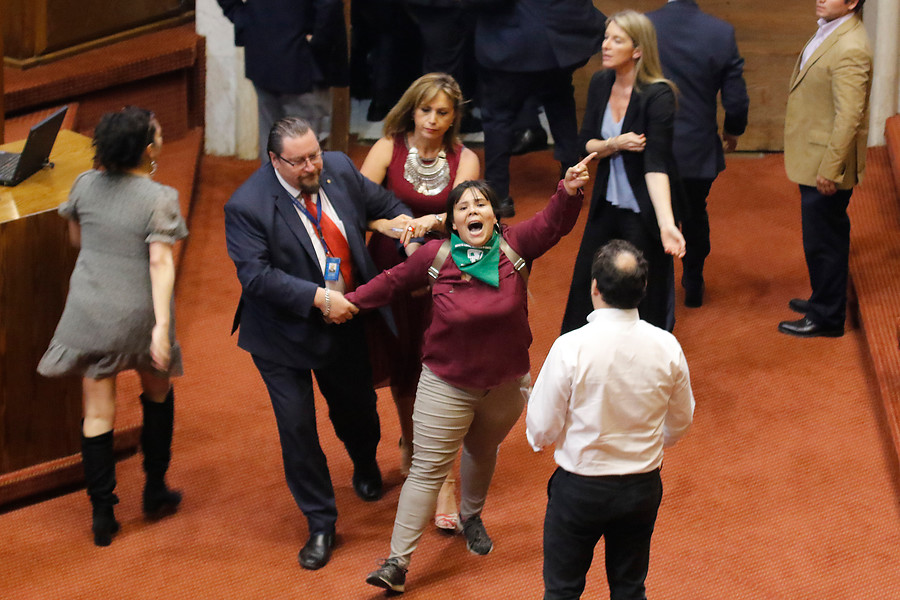 feministas constituyente