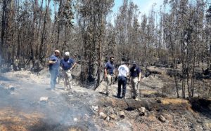 Fiscalía reconoció 