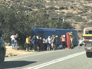 Dos heridos tras volcamiento de bus en cuesta La Dormida en Olmué