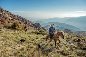 “La Cordillera de los Andes, al sur de América”: el nuevo libro que relata la influencia de ésta en la formación del país y del carácter chileno