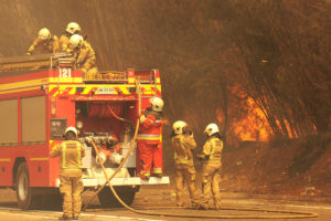 Incendios forestales obligan a cortar rutas del Itata, la Madera y de Cabrero