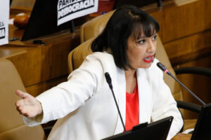 Diputada Natalia Castillo ingresa proyecto que establece límites para las herencias de los