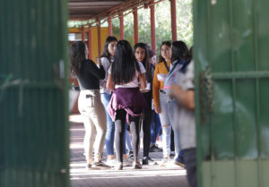 PSU: comienza apelación para las 86 personas inhabilitadas para dar la prueba