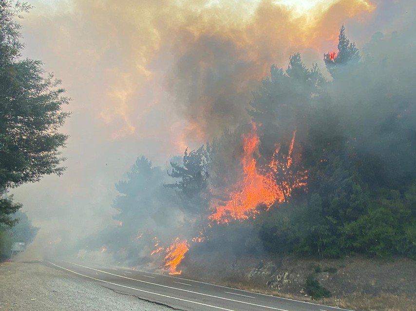 Incendio forestal