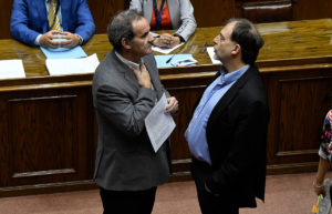 Por qué las dos propuestas de paridad de género fracasaron en el Senado