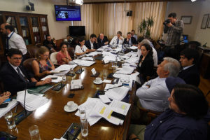 Comisión de Trabajo de la Cámara rechazó 6% de cotización individual