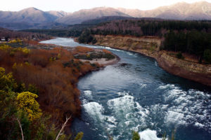 Los ríos como sujetos políticos para descolonizar la vida