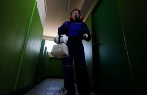 Descubren un ratón en el área de alimentos del Hospital San José de Maipo