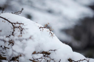 Tiempo de turismo sustentable