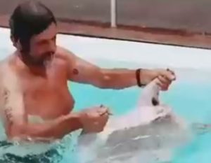 Filtran video de empresario recogiendo cordero lanzado a piscina desde helicóptero