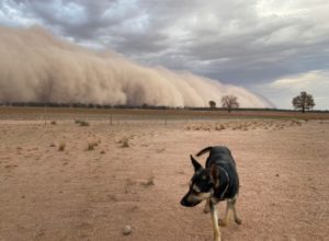 Clima extremo: impactantes tormentas de arena y granizo sacuden Australia