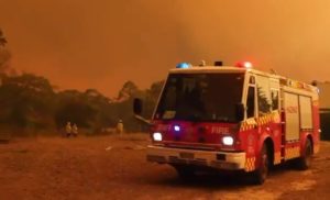 Ola de calor en Australia: aumentan los muertos y autoridades ordenan evacuación de ciudades