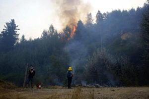 Onemi solicita evacuación de sectores en Galvarino por incendio forestal