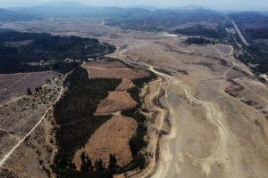 Traslado de animales y reforestación: las medidas del Gobierno para apoyar a los ganaderos afectados por la sequía