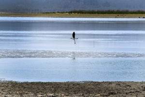 DGA: 12 ríos de Chile tienen sus caudales bajo el mínimo histórico