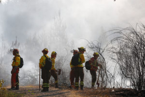 Onemi: 8 incendios forestales se encuentran activos a nivel nacional