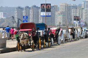 Municipalidad de Viña del Mar confirma que victorias dejarán de circular en marzo