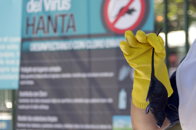 Virus Hanta: murió joven de 19 años que se encontraba internado grave
