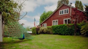 A $20 mil el número: vecino de Osorno rifará su casa avaluada en $280 millones