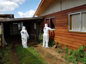 Araucanía: hallan a adulta mayor muerta y atada de pies y manos en Teodoro Schmidt