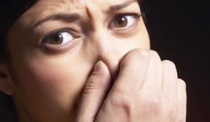 Este es el olor más apestoso del mundo