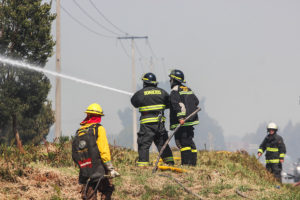 Alerta roja en Constitución por incendio forestal que avanza hacia sector poblado