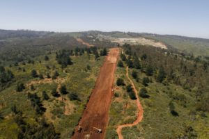 Se cae un mito: Unesco desmiente que plantaciones forestales perjudicarían la cantidad y calidad del agua